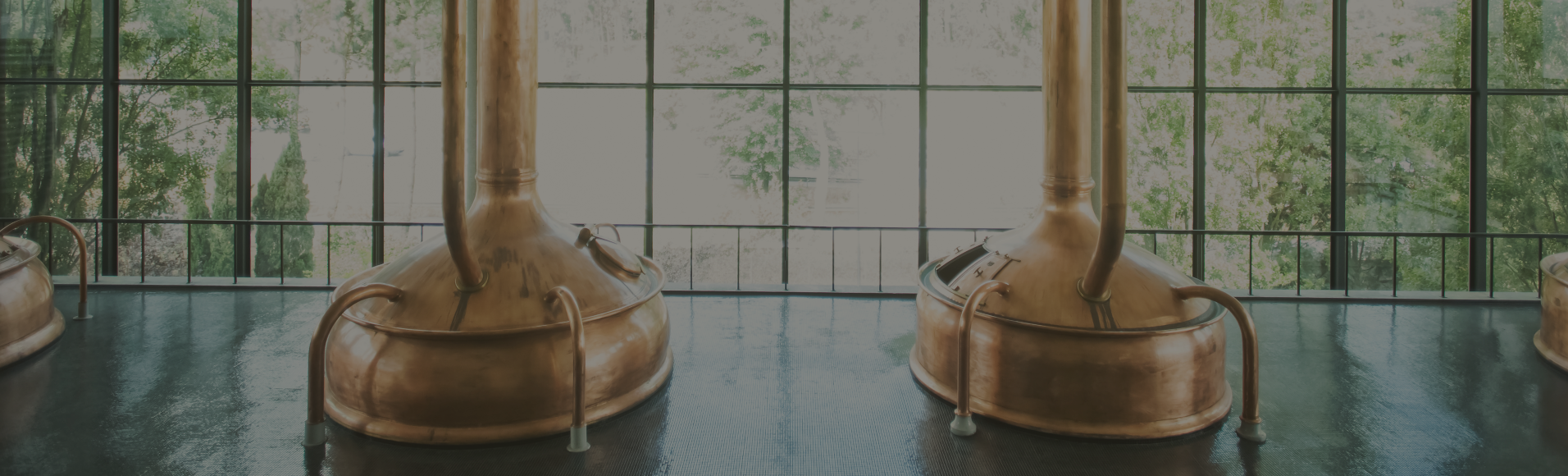 Eventos, Provas e muito mais  